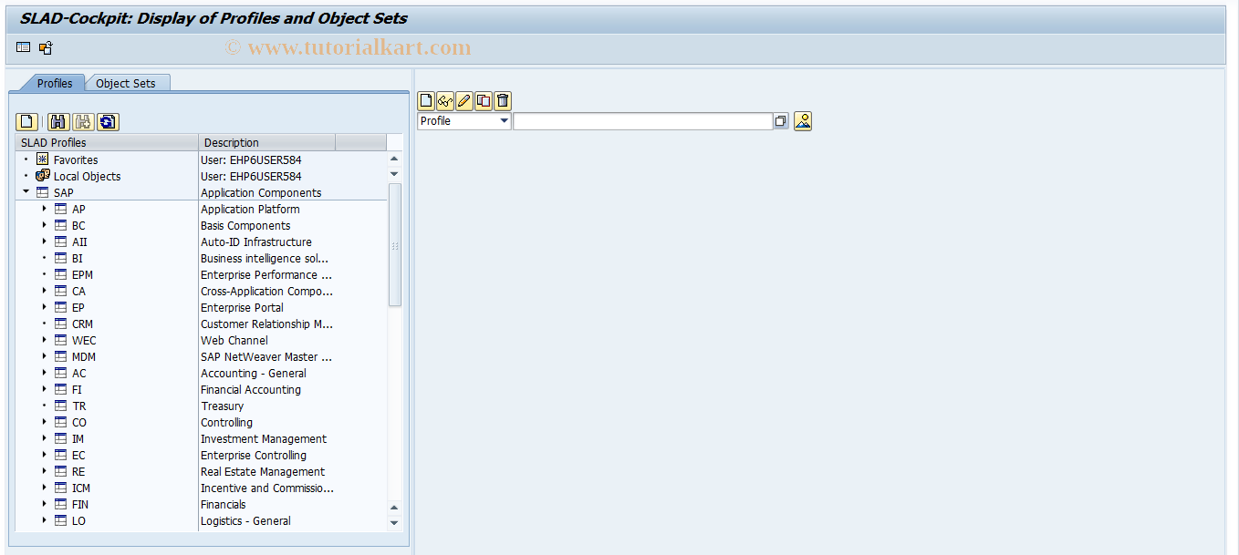 SAP TCode SLAD - Maintain: Profiles and Object Sets