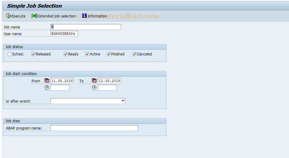 SAP TCode SM39 - Job Analysis