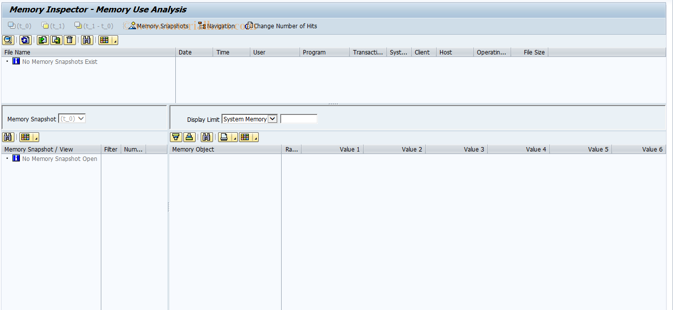 SAP TCode SMI - Memory Inspector