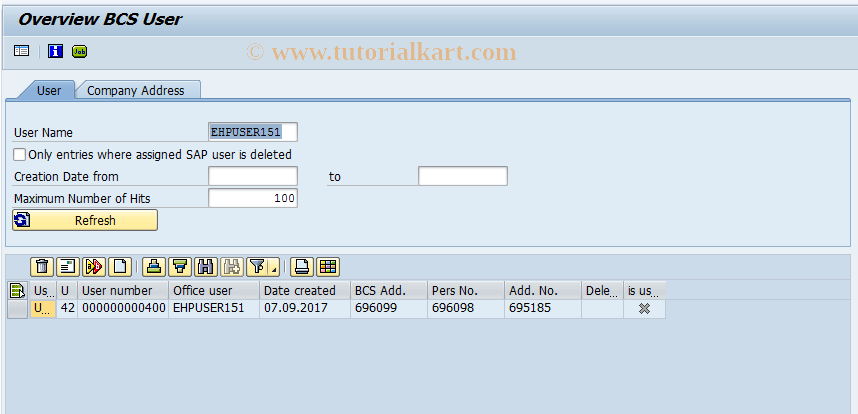 SAP TCode SOUD - BCS: User Management