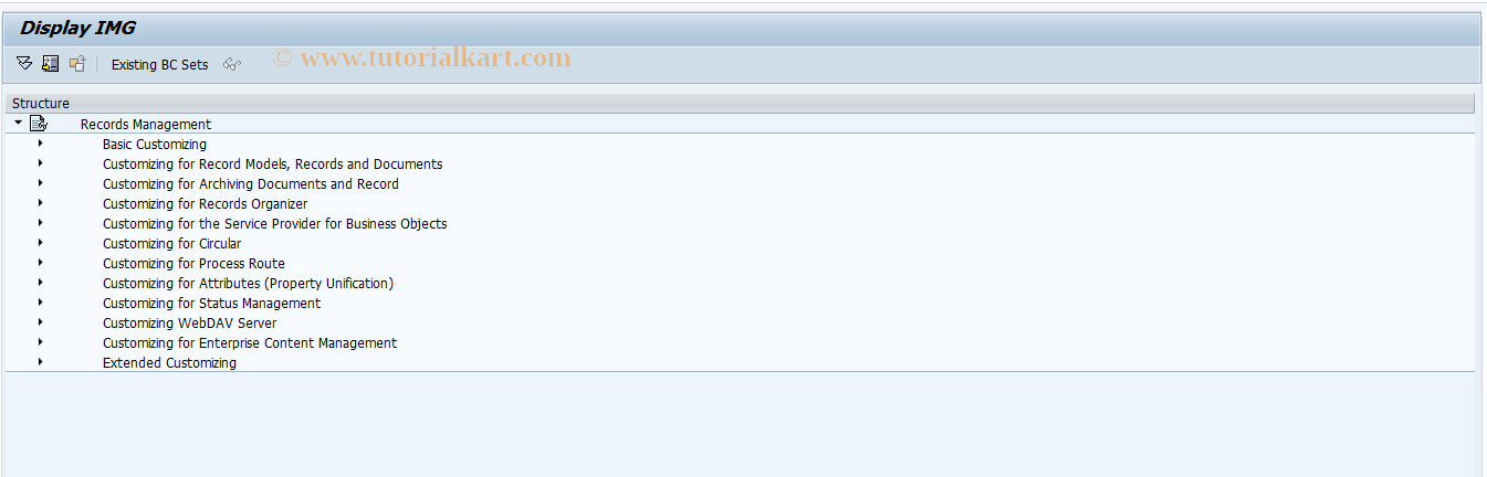 SAP TCode SRMCUSTOMIZING - Customizing Records Management