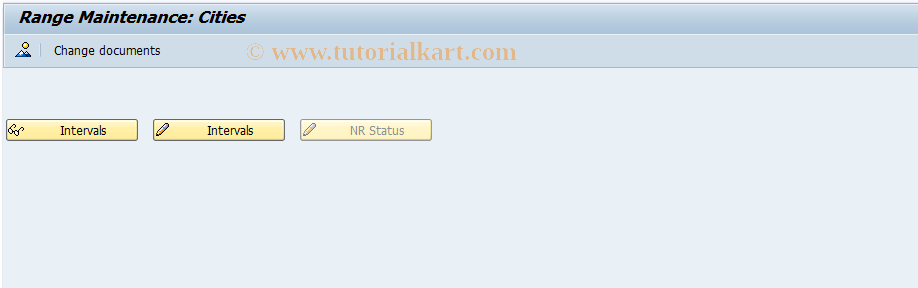 SAP TCode SRN1 - Number range maintenance: ADRCITY