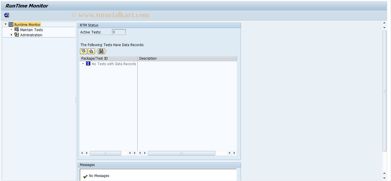 SAP TCode SRTM - Run Time Monitor Initial Screen