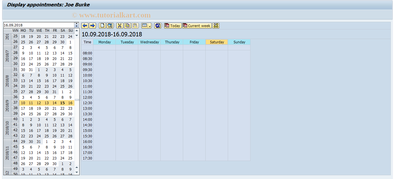 SAP TCode SSC - SAP Appointment Calendar (internal)