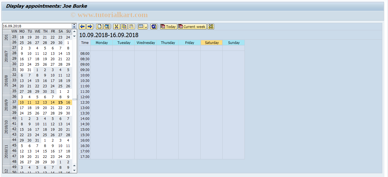 SAP TCode SSC0 - SAP Appointment Calendar (Employee)