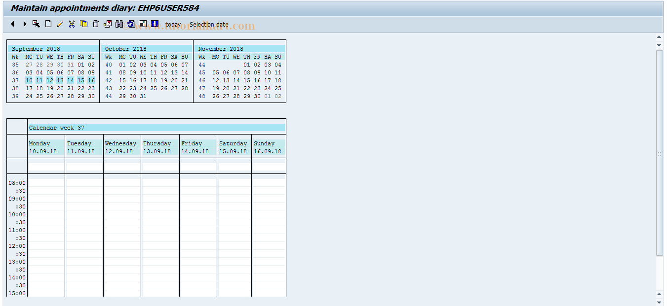 SAP TCode SSC1X - SAP (own) Appointment Calendar