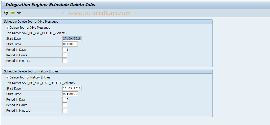 SAP TCode SXMS_ADMI_DEL - Schedule Delete Jobs