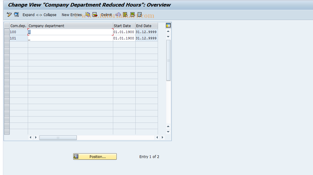 SAP TCode S_AHR_61002865 - IMG Activity: OHIC0119