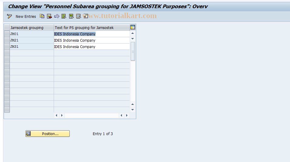 SAP TCode S_AHR_61007745 - IMG-Aktivität: OHAIDJS011