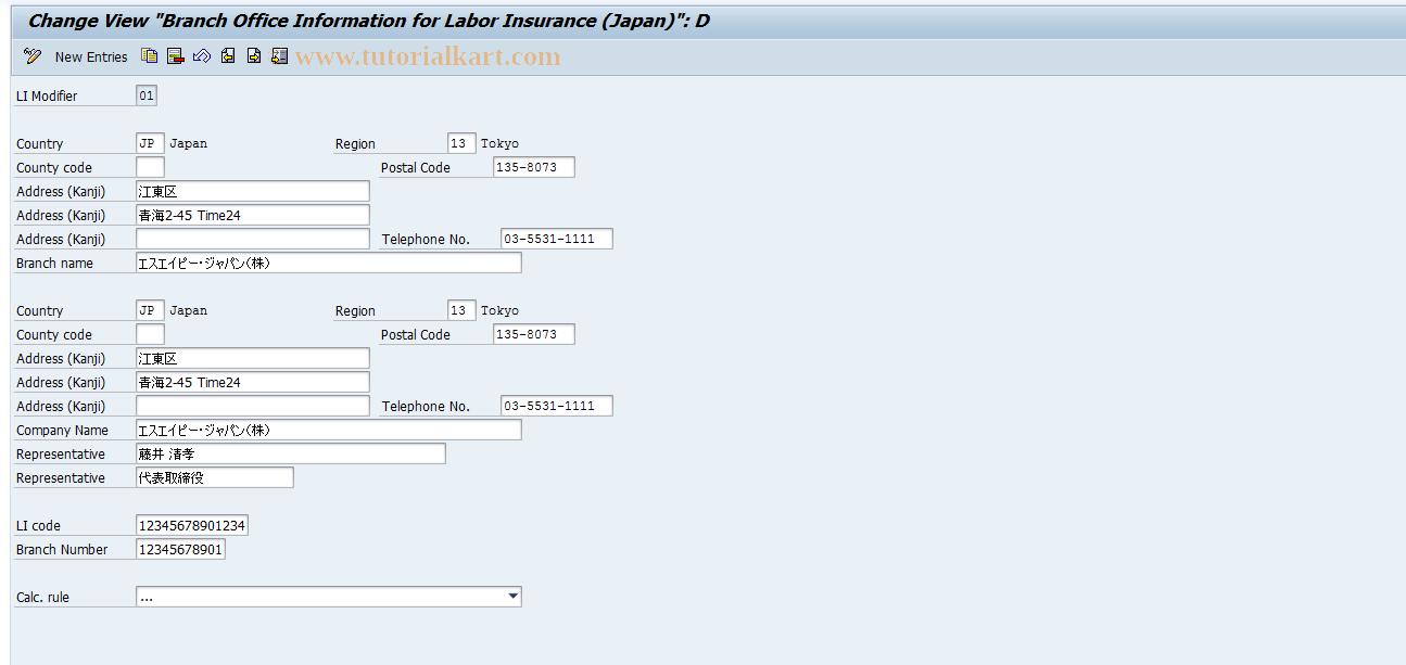 SAP TCode S_AHR_61010740 - IMG Activity: OHIJ0010