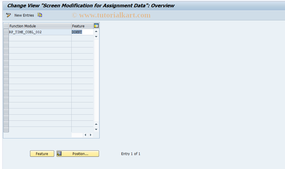 SAP TCode S_AHR_61011189 - IMG Activity: OHIX0691