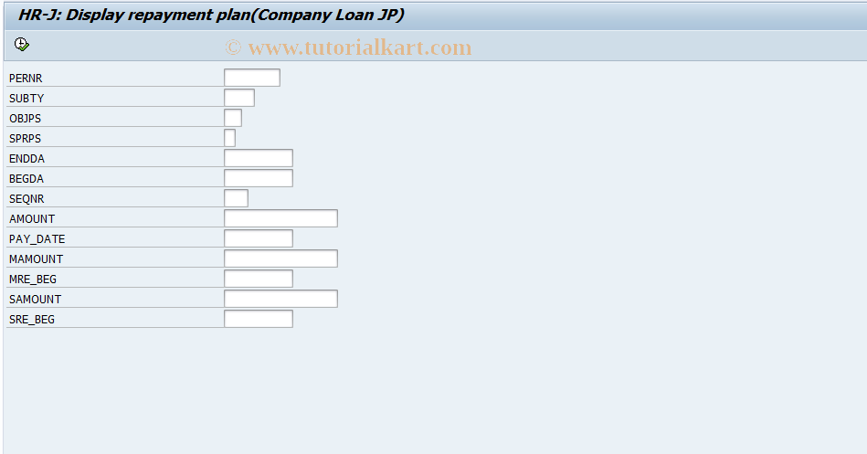 SAP TCode S_AHR_61015476 - RPLLRPJD