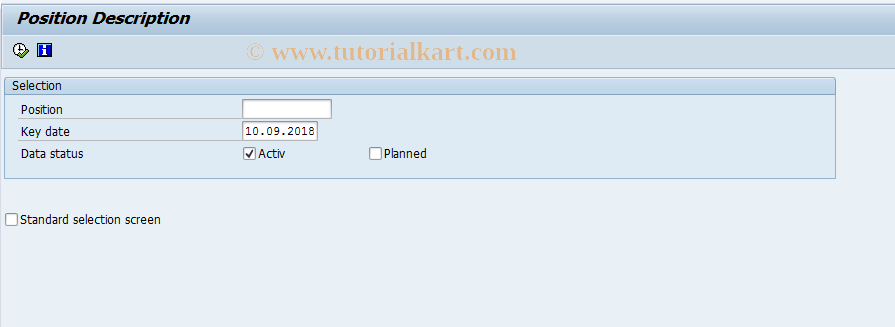 SAP TCode S_AHR_61016239 - Position Description