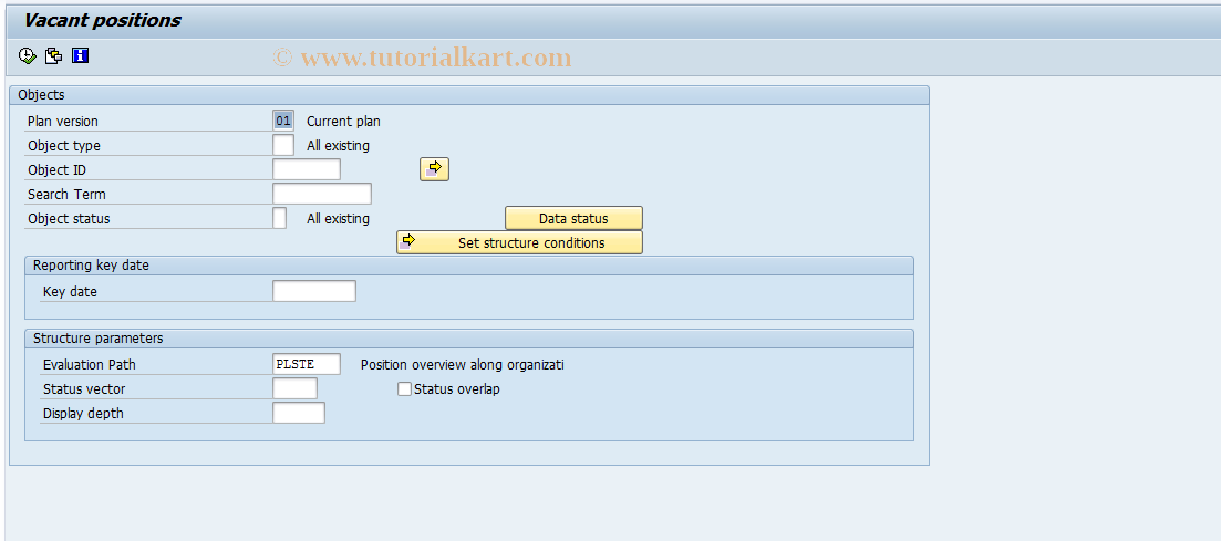 SAP TCode S_AHR_61016244 - Vacant/Obsolete Positions