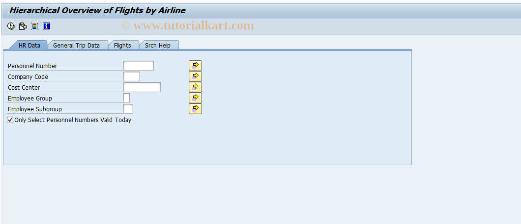 SAP TCode S_AHR_61016279 - Overview of Flights by Airlines