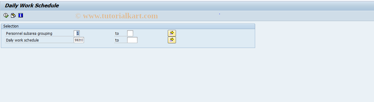 SAP TCode S_AHR_61016290 - Daily Work Schedule