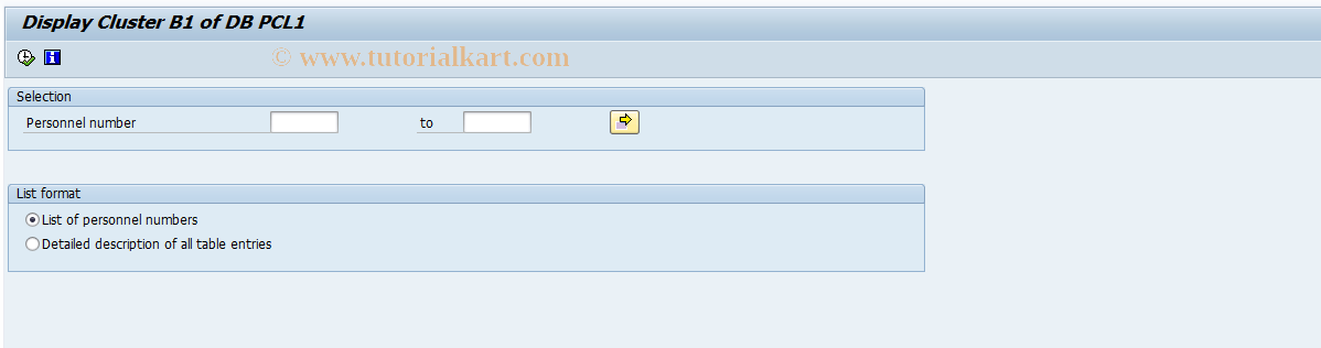 SAP TCode S_AHR_61016311 - Display Cluster B1 of DB PCL1