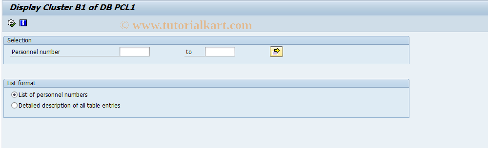 SAP TCode S_AHR_61016477 - Display Cluster B1 of DB PCL1