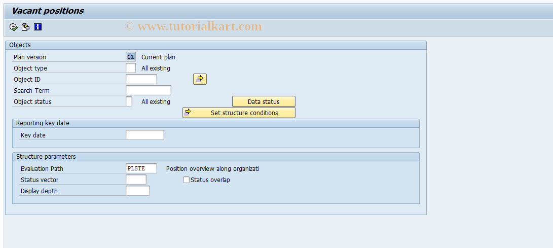 SAP TCode S_AHR_61016509 - Vacant/Obsolete Positions