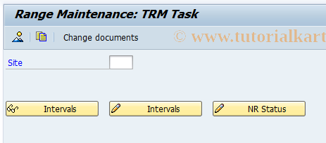 SAP TCode S_ALN_01000209 - 