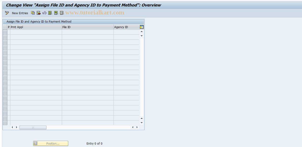 SAP TCode S_ALN_01000276 - Maintain File ID and Agency ID