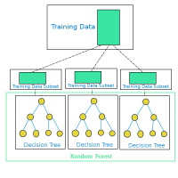 Random Forest in Machine Learning