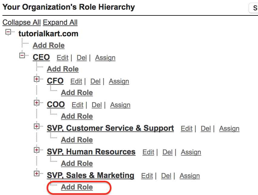Role hierarchies in Salesforce