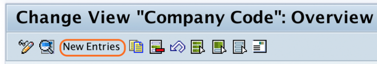 What is Company Code? & How to Define Company Code in SAP