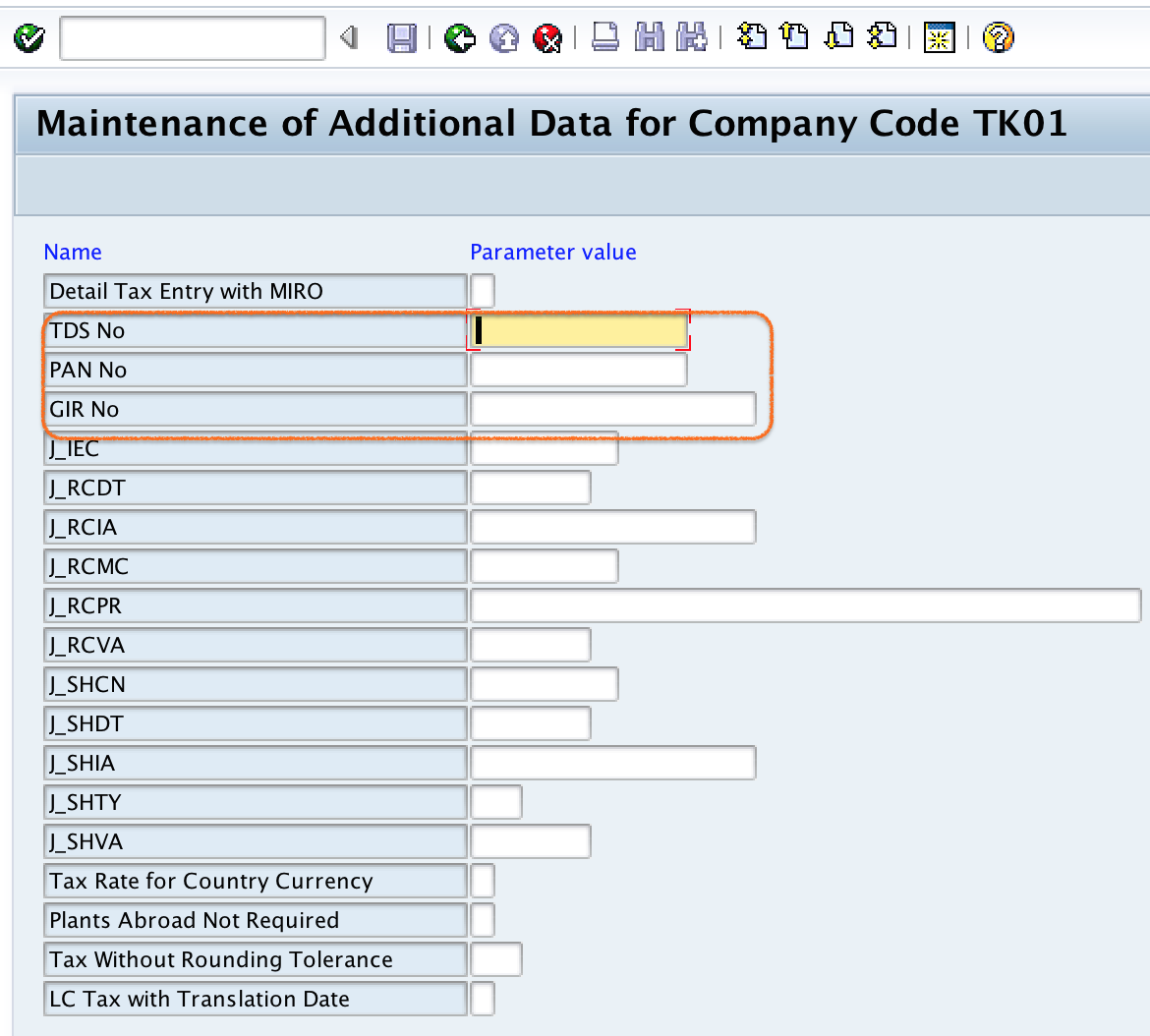 Company Code Global Parameters additional data