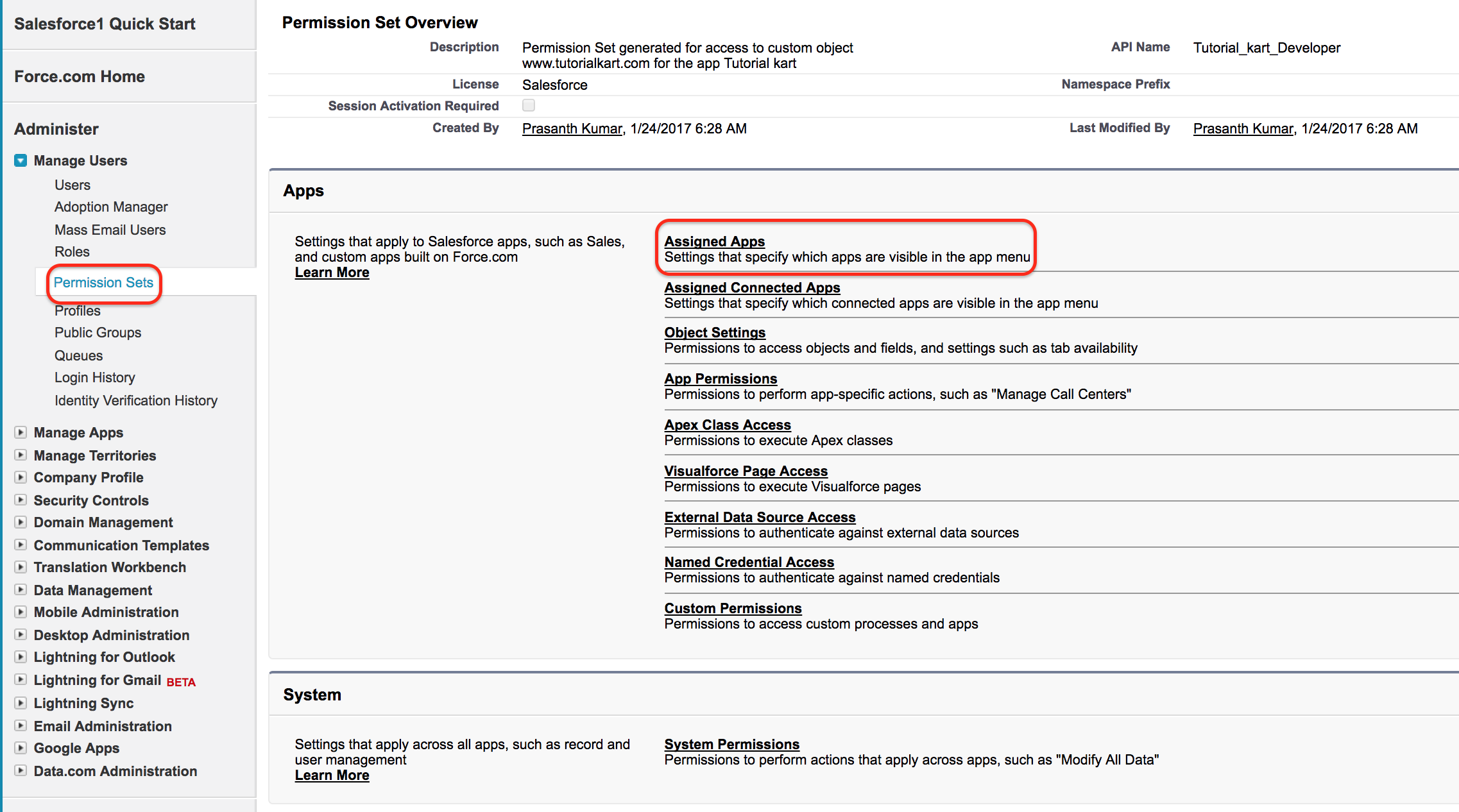 assign custom permission to profile salesforce