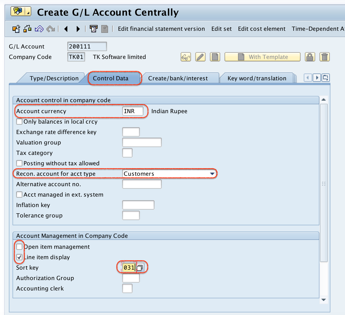 Sundry Debtors SAP control data