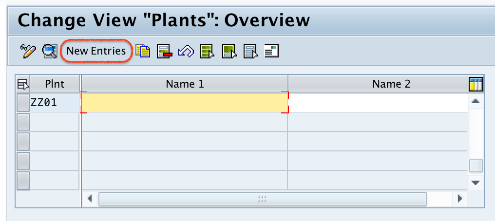 define plant in SAP new entries