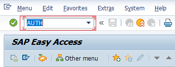AUTH SAP TCode