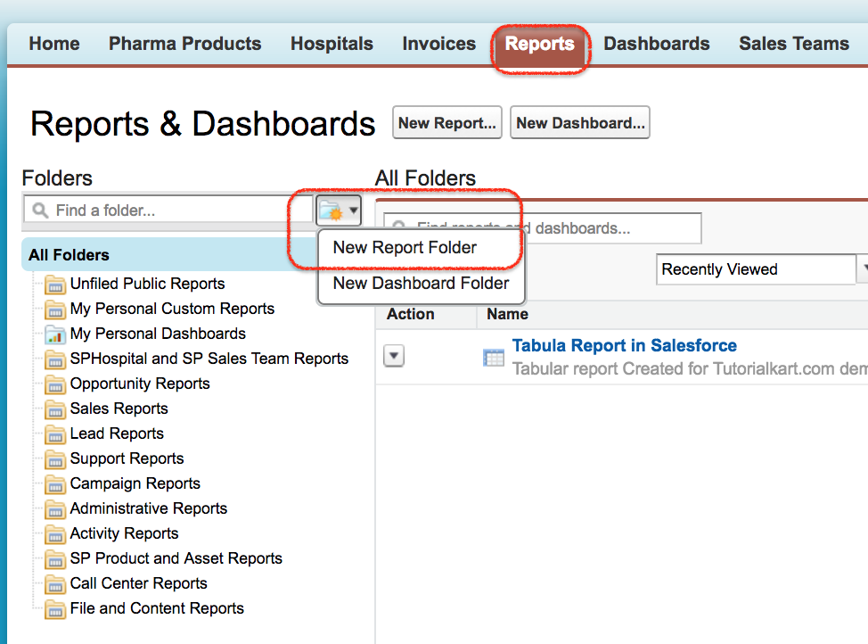 Salesforce Reports 