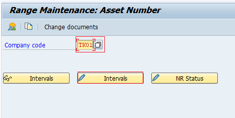 SAP range maintenance asset number