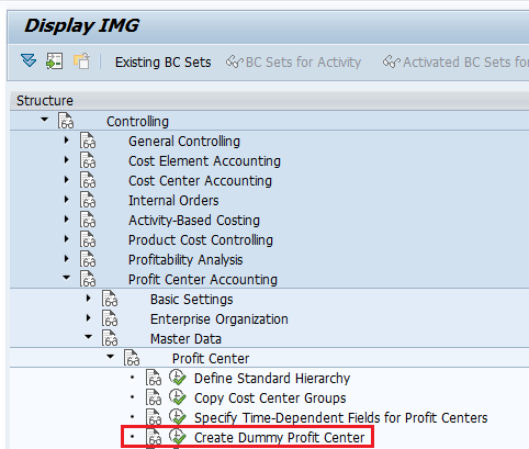 img path for dummy profit center SAP