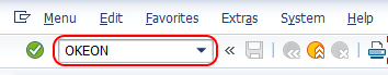 SAP Transaction code OKEON