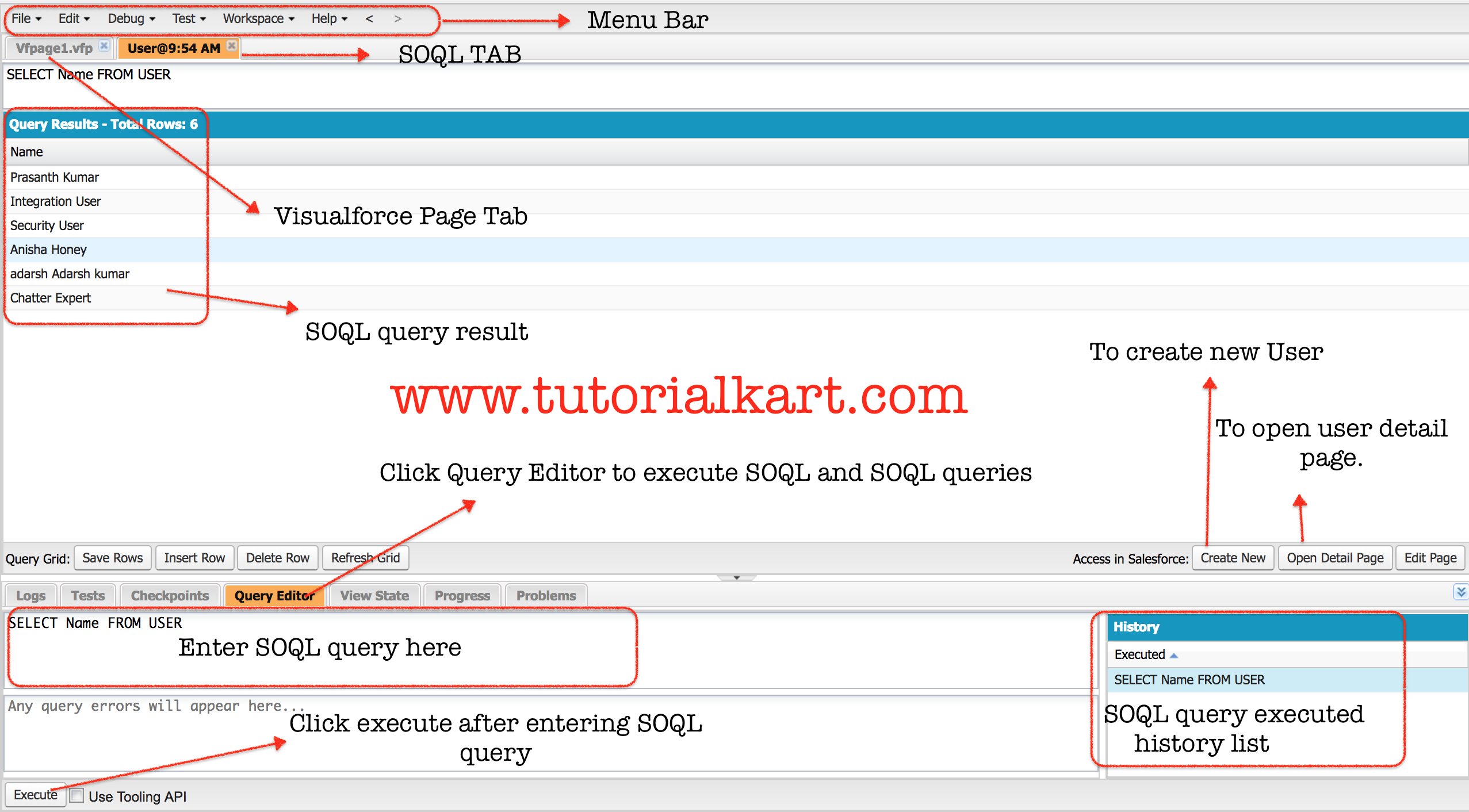 SOQL query in Salesforce Developer console