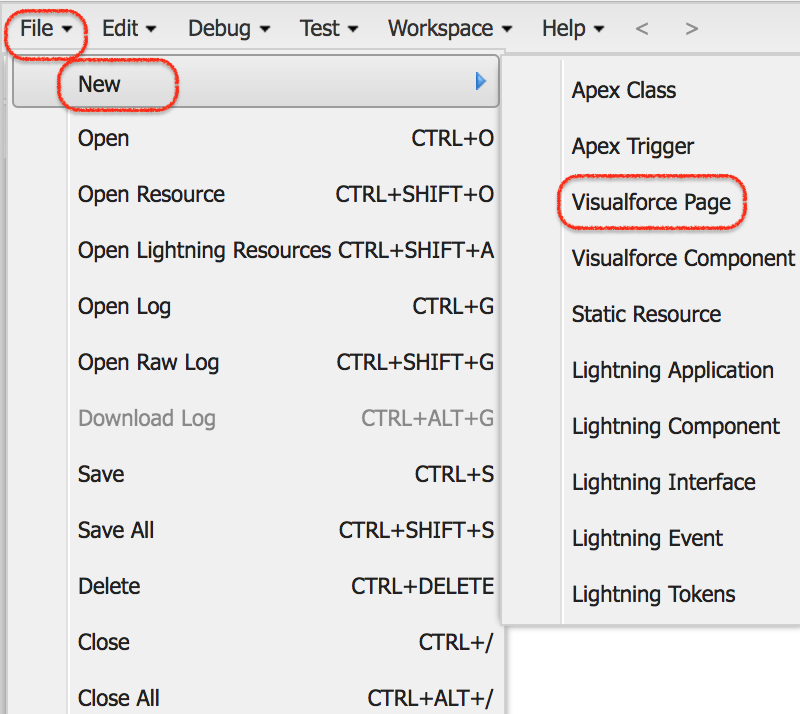 Salesforce Developer Console