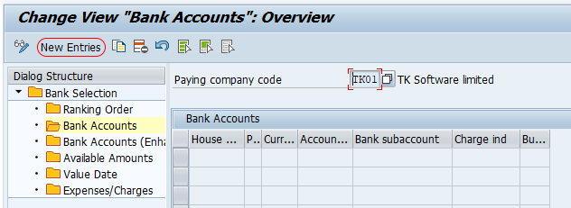 Automatic Payment Program - Bank accounts SAP