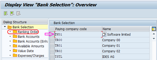 Automatic Payment Program Run in SAP -bank determination