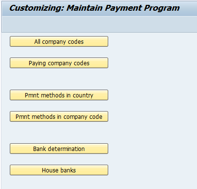 Automatic Payment Program Run in SAP