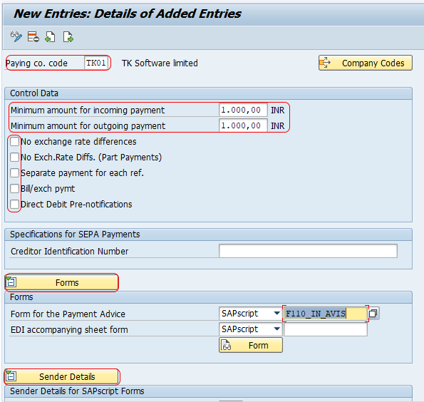 Automatic Payment Program - paying company codes SAP