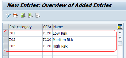 Define risk categories in SAP