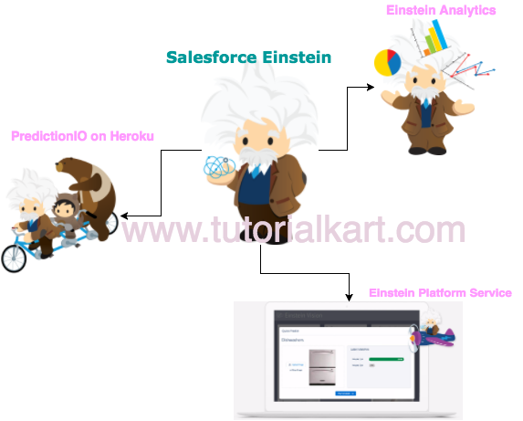 Learn Salesforce Einstein - Salesforce AI (Artificial Intelligence)