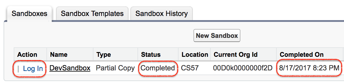 Sandbox created successfully