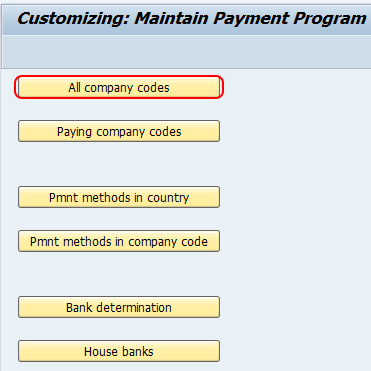 maintain payment program SAP