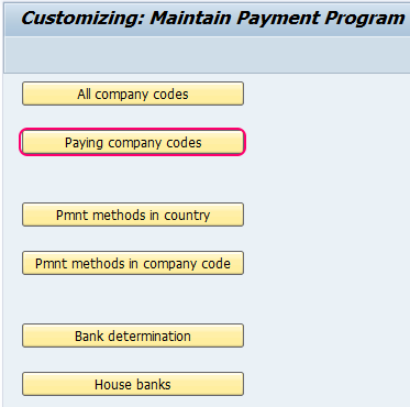 paying company codes SAP