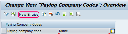 paying company codes overview screen