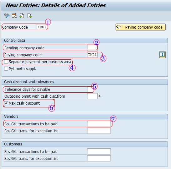 set up all company codes for payment transactions SAP